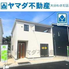 2025年9月撮影