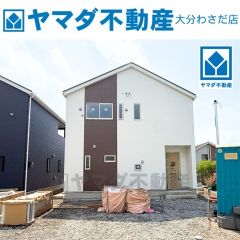 2025年8月撮影