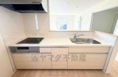 2025年9月撮影