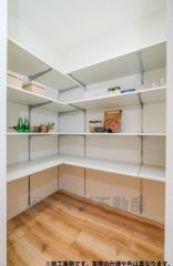 写真はイメージです