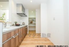 写真はイメージです