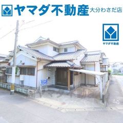 2025年9月撮影