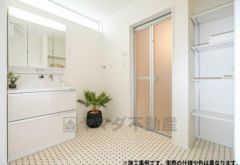 写真はイメージです