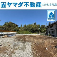 2025年5月撮影