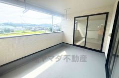 2025年9月撮影