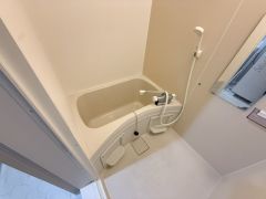 鏡や棚があって使い勝手良好。収納スペースがあるためスッキリ保てます。