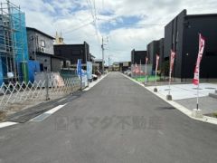 2025年6月撮影